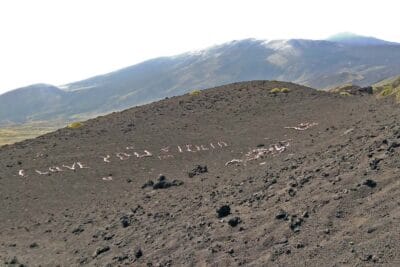 Bottoniera craters, Volcano Etna